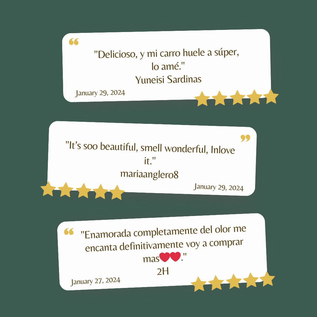 SCENT Diffuser (Air Freshener) | Variety - D SCENT