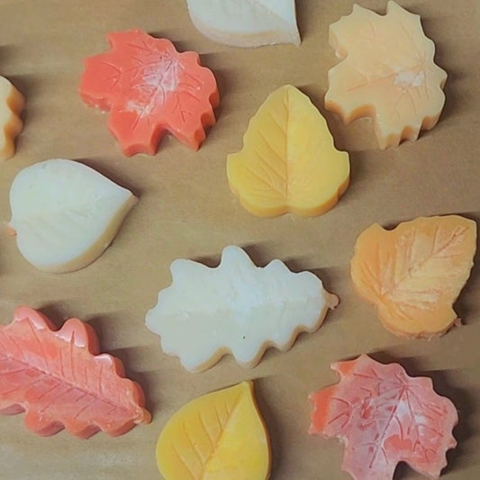 Hello Autumn Soy Wax Melts | Box