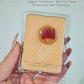 Soy Wax Melts | Clamshell & Boxes