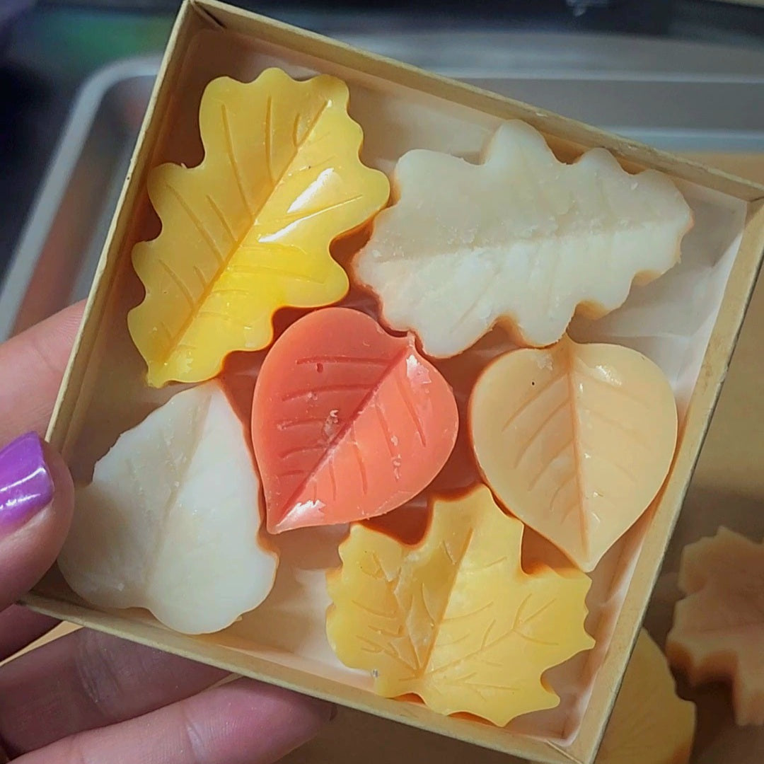 Soy Wax Melts | Clamshell & Boxes